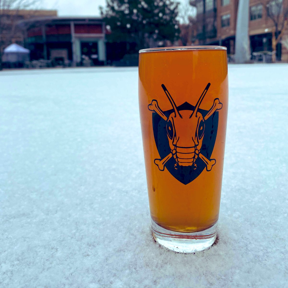 #NewOnTap: APRICOT HABANERO. This off-dry blend of #apples, #apricots & #habaneropeppers is juicy with lingering heat. Perfect to warm you up on a #snowyday! Rolling out in our taprooms this week, grab a pint, growler or grunt to go, or order online for pickup! 🍎 🍑 🌶 ❄️