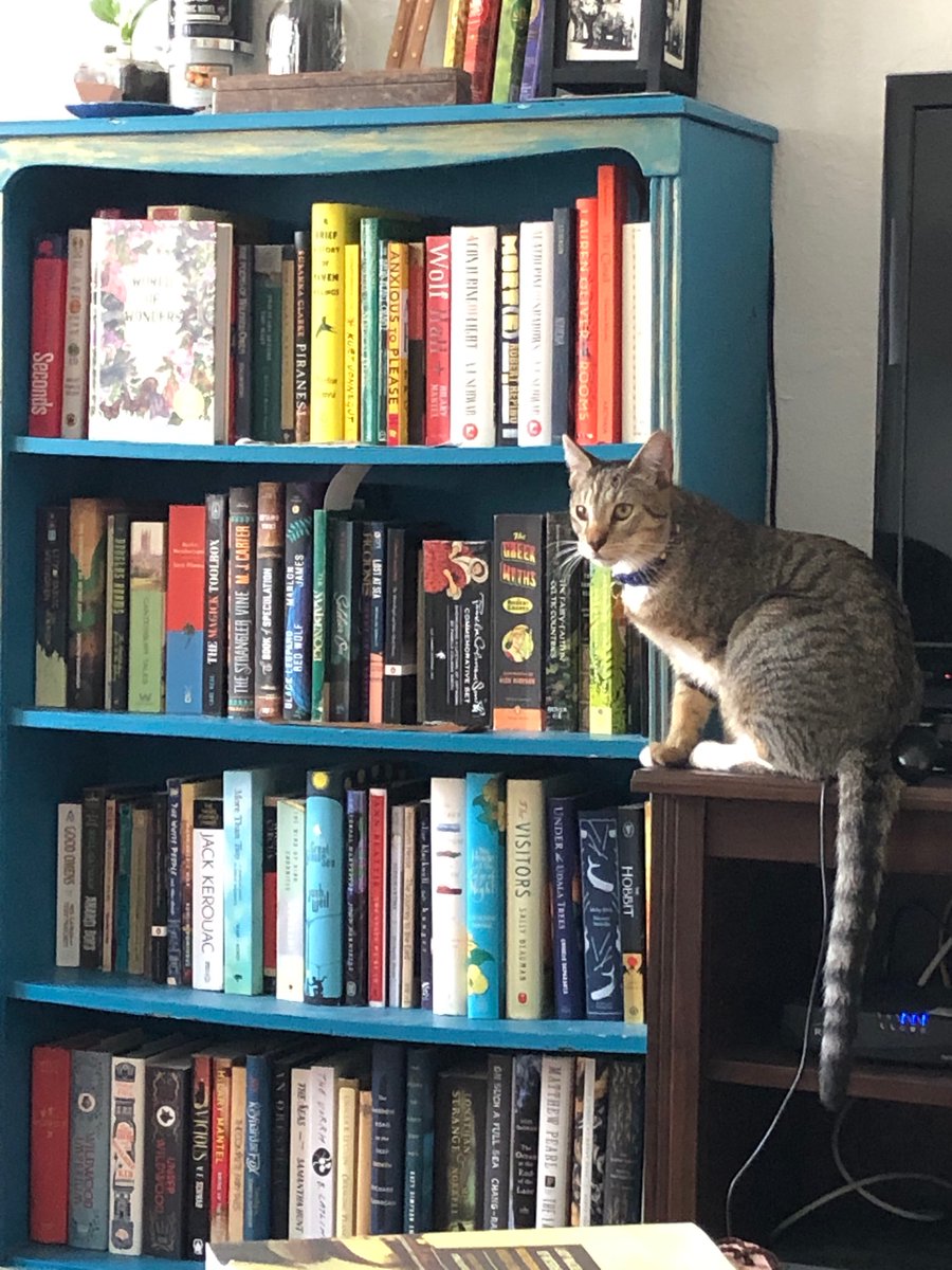 word___bird's tweet photo. @Csvich Studious. https://t.co/9nJmiNCtnW