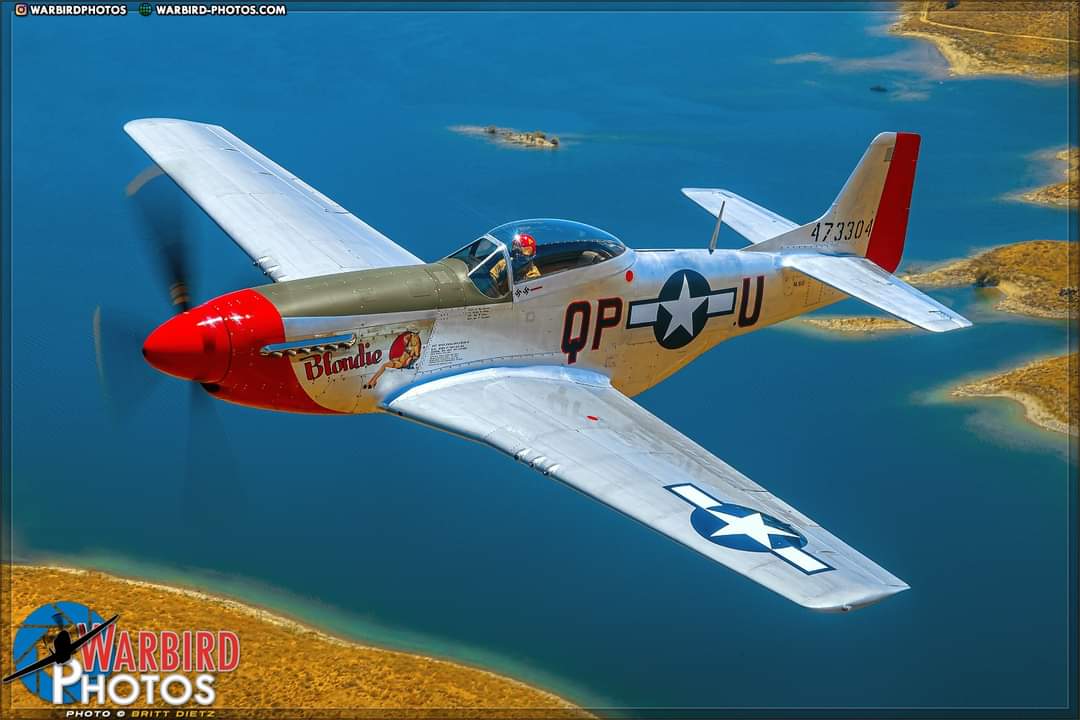 Tonell1's tweet photo. Debate has raged for decades, as to which WW2 Fighter is the best. Now you vote your choice at https://t.co/bpX8HOx9M8 https://t.co/8NpAh3tSrN