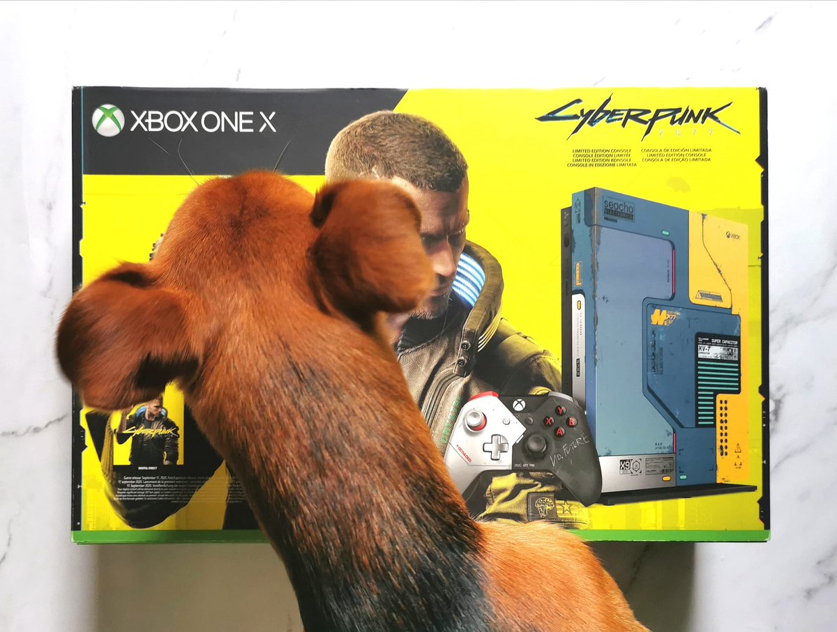 GamingAnthology's tweet photo. My 1000th post on instagram, had to be a typical photobomb in my house😂
Enjoy your gaming and your weekend 🎮.
#cyberpunksaturday #cyberpunk2077 #cyberpunk #cdprojektred #cyberpunkxbox #xboxonex #xboxone #xboxgaming #xboxgamer #yourgamerpets #geekpets #gamerpets #gaming #gamer https://t.co/edIhZoZzY7