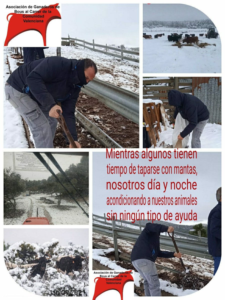 A. G. BOUSALCARRER. C. V tweet media