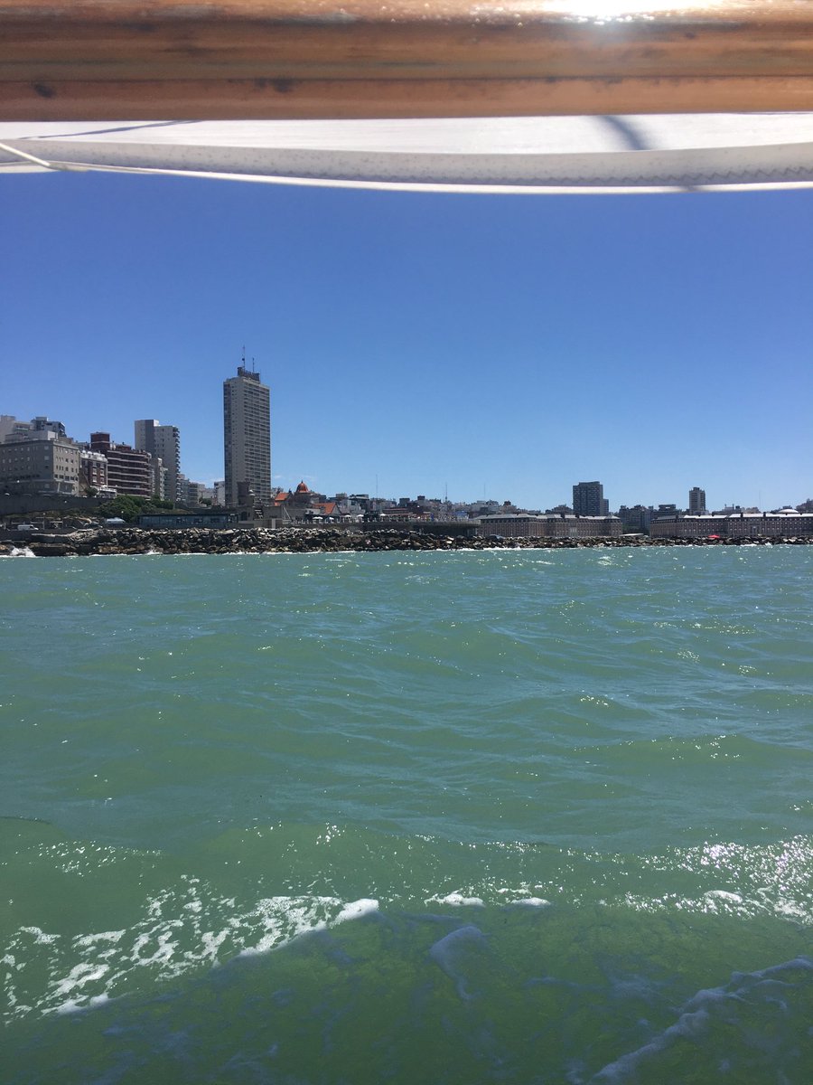 augu19's tweet photo. Mardel desde el mar . @veleronayade en Instagram https://t.co/n0aW5Fujxy