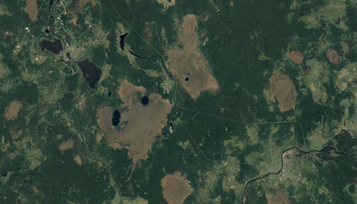 Here's the Velizh(NW)-Usvyaty(SE) landscape. Located near the operational borders of Army Groups North & Centre, neither Gp staff had the men spare to tackle the Soviet elements trapped in the corridor. The forests & swamps could not be used by the RedArmy for an offensive either
