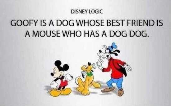 codmandi's tweet image. 