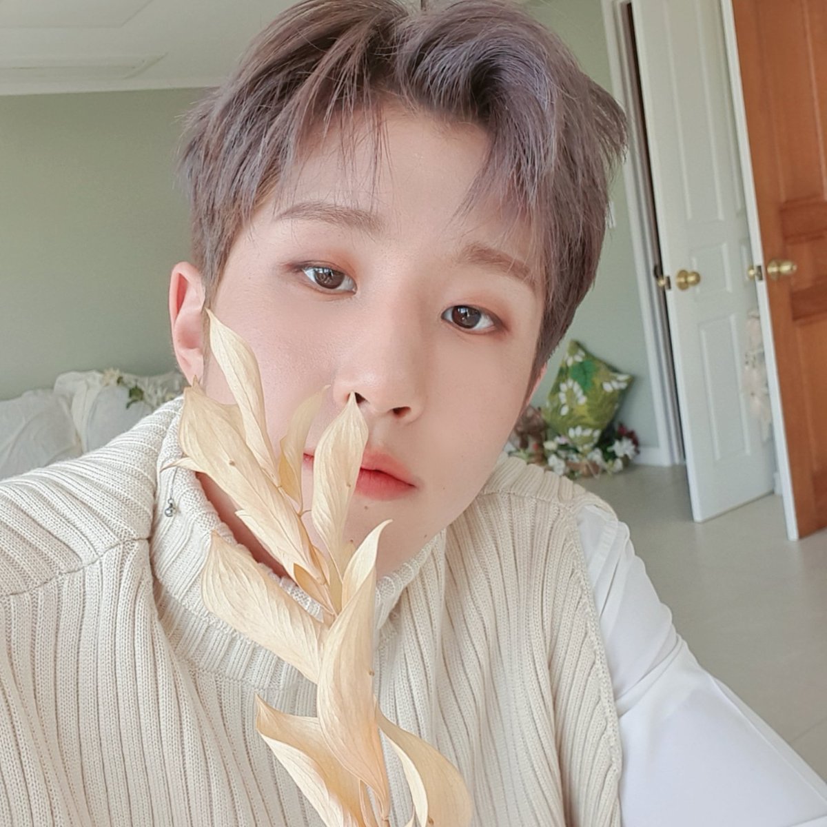 offcl_astrx's tweet photo. ㅤ ㅤ 📖 : Wanna be your 𝐋𝐢𝐠𝐡𝐭 ㅡ Jinjin's 𝐔𝐏𝐃𝐀𝐓𝐄 . . / 불꽃 / 𝐍𝐎𝐖 Listening › #ICHIGOStreamParty !
Y desde siempre he sido #TeamSnapping que me emociona mucho al escucharla ¡Incluso conseguí el Lightstick de ICHIGO! https://t.co/9VNOPi1rnb