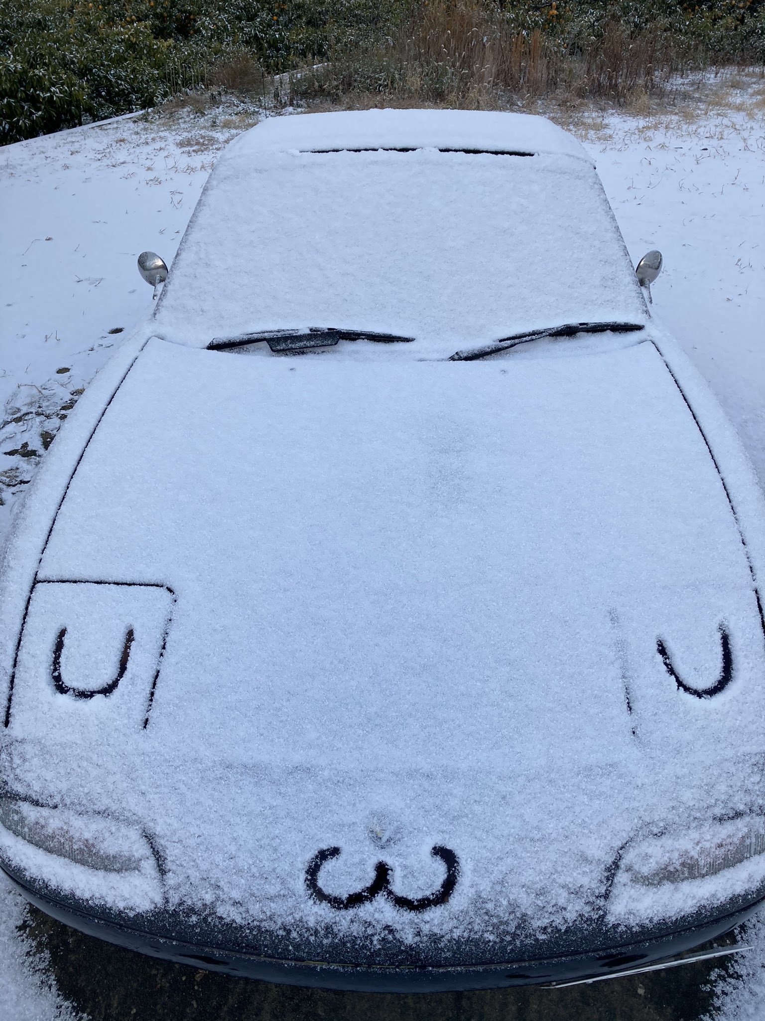 車のボンネットに積もった雪で作ったかわいい顔 話題の画像プラス