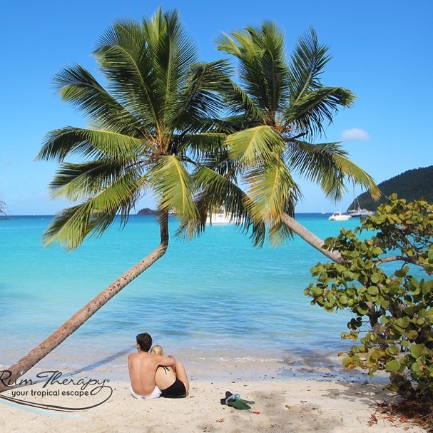 rumtherapy's tweet photo. One of our favorite photos from Maho Bay, St John taken before the hurricanes. Where have you enjoyed some unique palm trees?
.
.
.
#palmtrees #stjohn #stjohnusvi #mahobay #unique #usvi #bestbeaches #rum_therapy #rumtherapy #tropicaltravel #tropicalvacat… https://t.co/IrxiZjHmoo https://t.co/HrtUVAXYlM