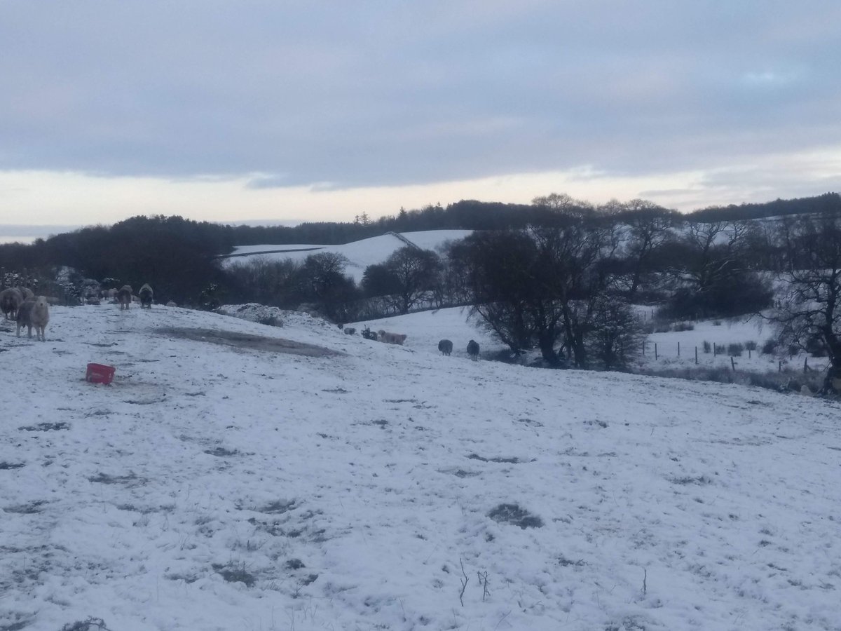 View from the last 2 day's <a href="/farlamshorthorn/">J R Elliott</a>
