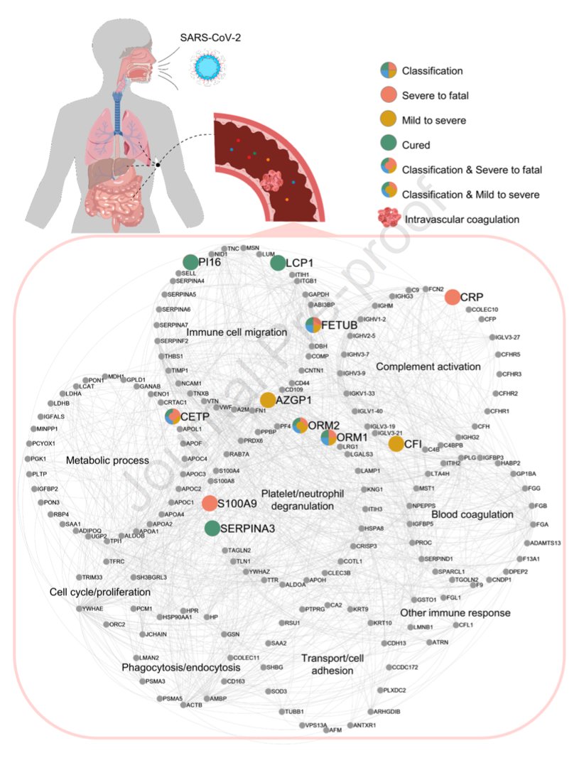 mmw_lmw's tweet photo. #Pathogenesis of #COVID19 | Plasma Proteomics Identify Biomarkers | Xi Zhou #CAS_Wuhan @ImmunityCP https://t.co/rWGS6pLgRS | #2020_ReCapOct https://t.co/xyE7u3cGdL