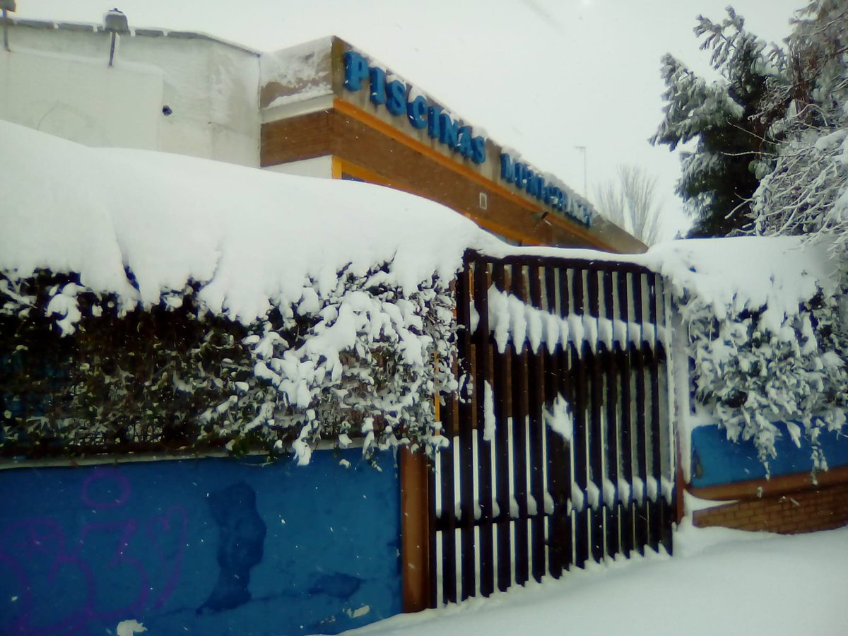 CN Ciudad Alcorcón tweet media