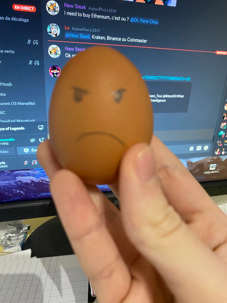 KillerJerem's tweet photo. @MisterEvery0ne @grosresPECS @RiotSupportFR @Team_Toui @IktomiOrWhat wsh @grosresPECS tu l'as rendu tout colère sylvie là https://t.co/urRvaIUkOf