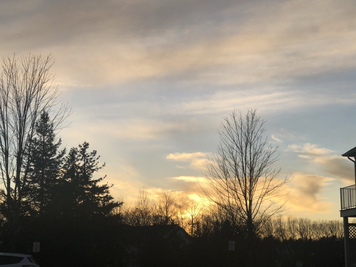 Debi Schlutow tweet media