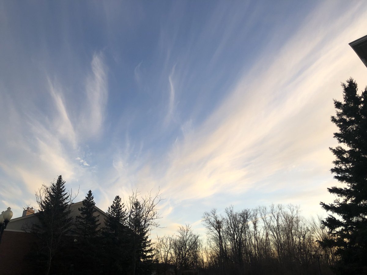 Debi Schlutow tweet media