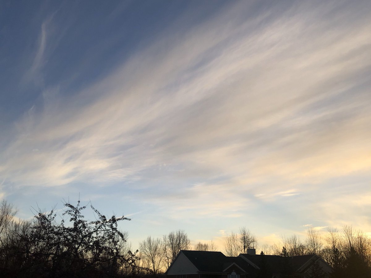 Debi Schlutow tweet media