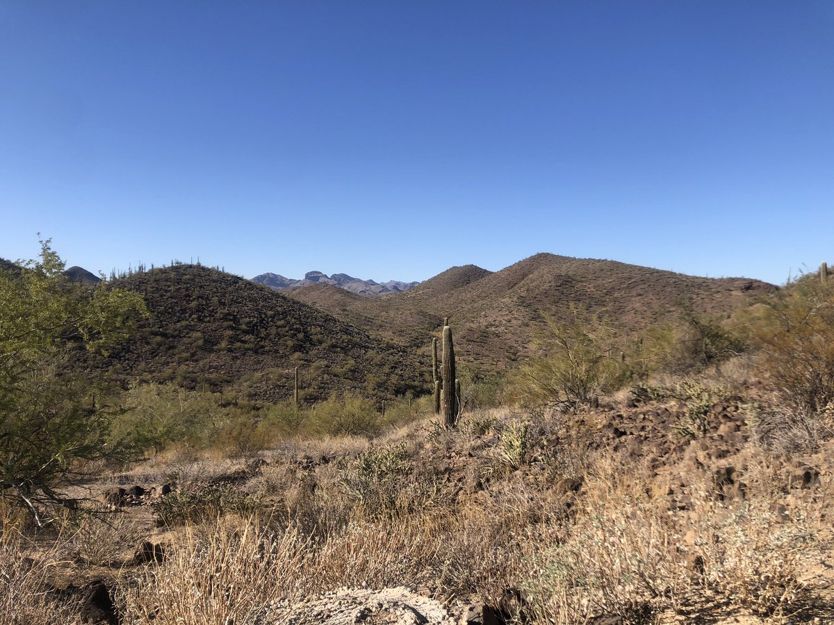 ProfNichols's tweet photo. Sometimes you just need to get away alone. #MeX7 https://t.co/oail2n4OoT