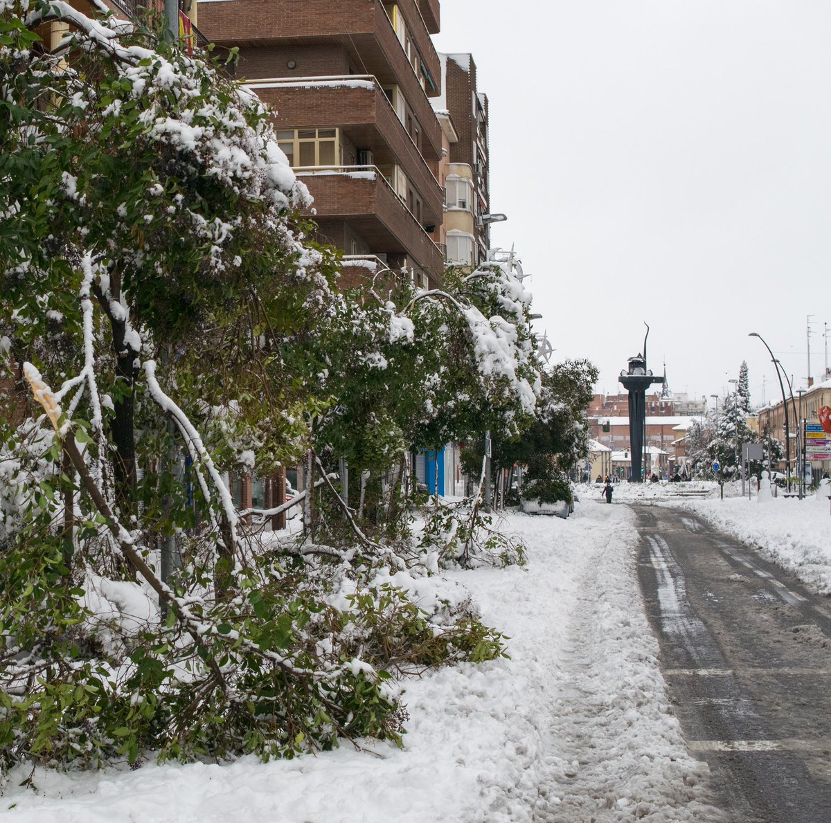 FramesTimeless's tweet image. Hi Filomena 🧤