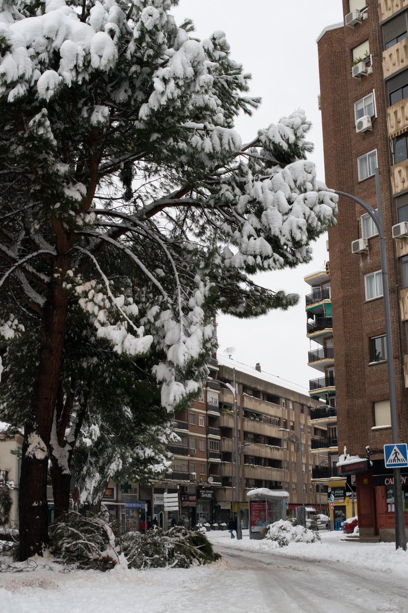 FramesTimeless's tweet image. Hi Filomena 🧤