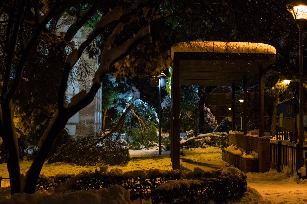 FramesTimeless's tweet image. Hi Filomena 🧤