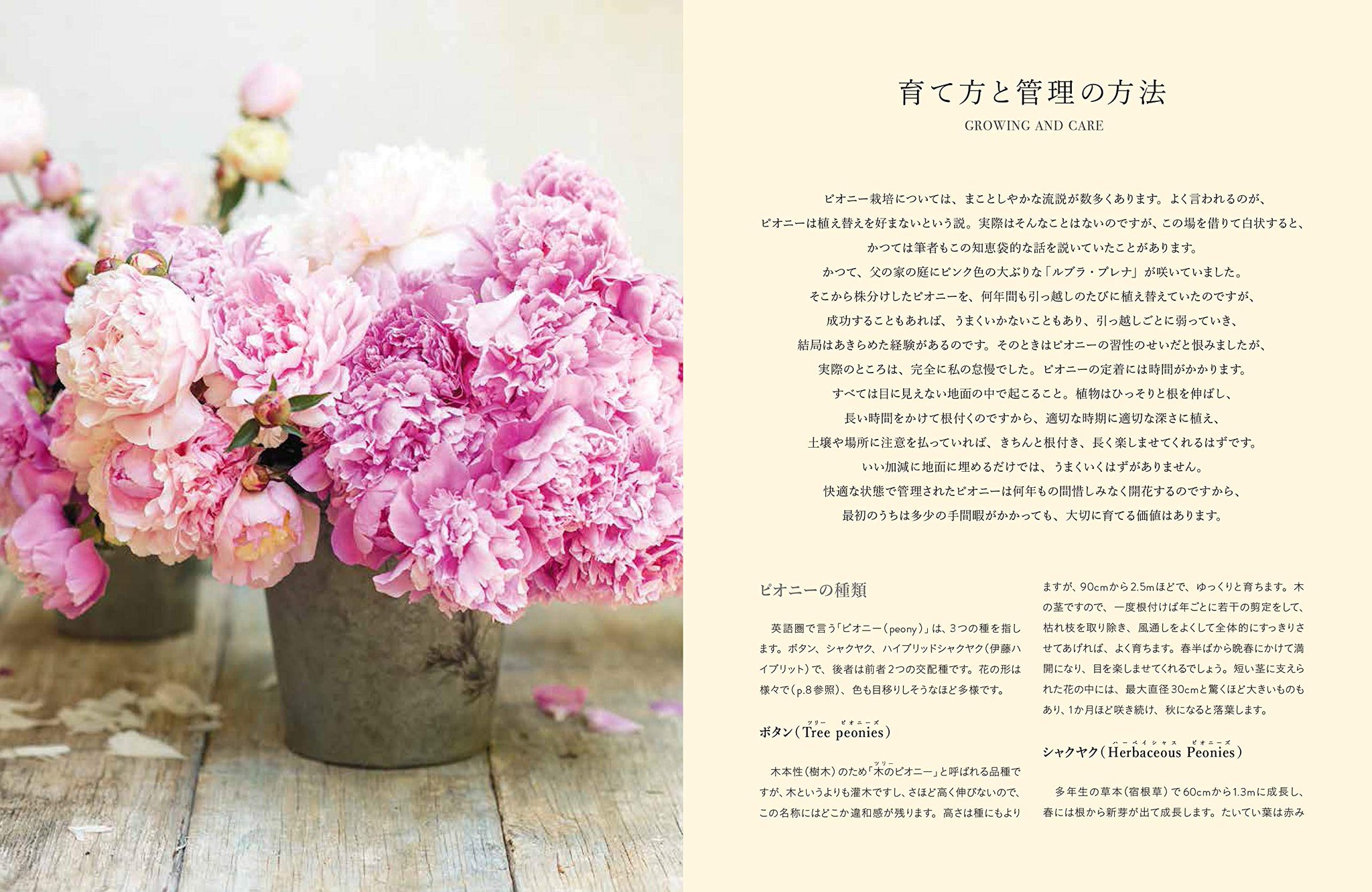 グラフィック社 編集部 国際部 暮らしを彩る 美しい牡丹と芍薬 ジェーン イースト著 倉重祐二 監修 Amazonでも発売スタート 人気品種の紹介から歴史 栽培方法 管理のポイントまで丁寧に解説 牡丹と芍薬 ピオニー だけを扱った本は珍しい