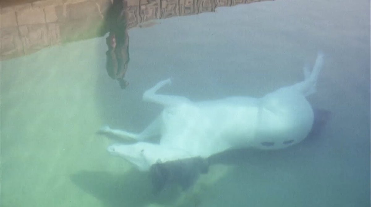 THE DAY OF THE LOCUST (Schlesinger, 1975)