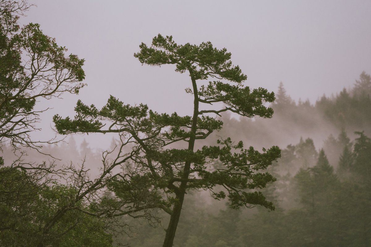 Rachel Lenkowski tweet media