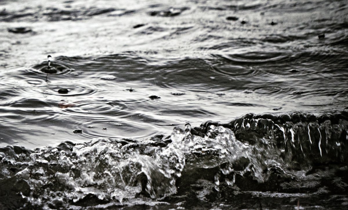 Rachel Lenkowski tweet media