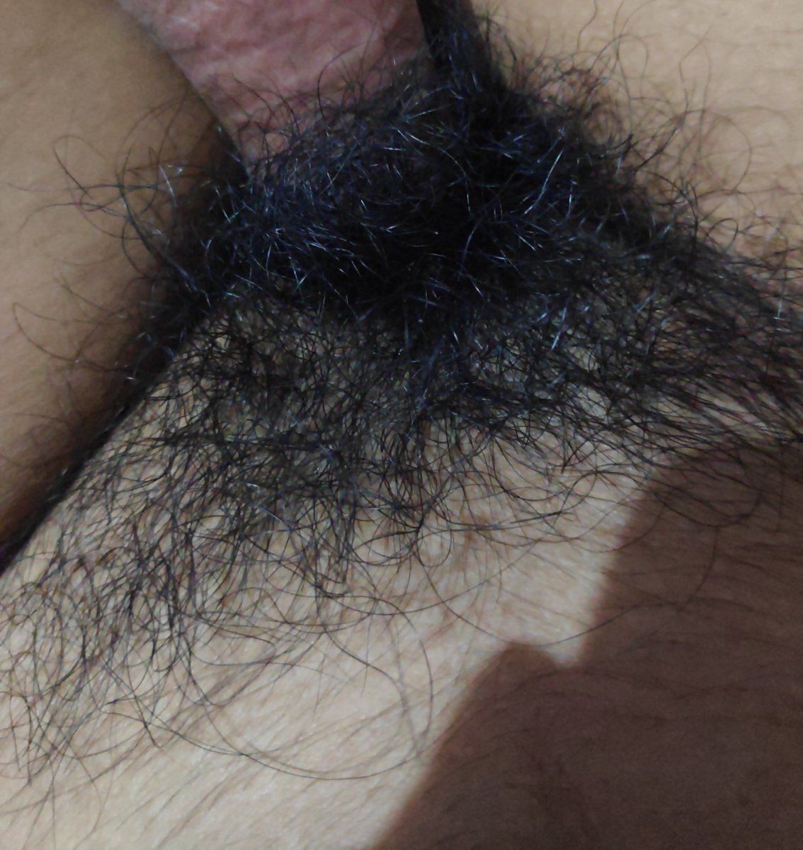 KontolHyper69's tweet photo. gondrong banget ni jembut, kalo ke gesek jadi sange https://t.co/TFZyQMjIRm