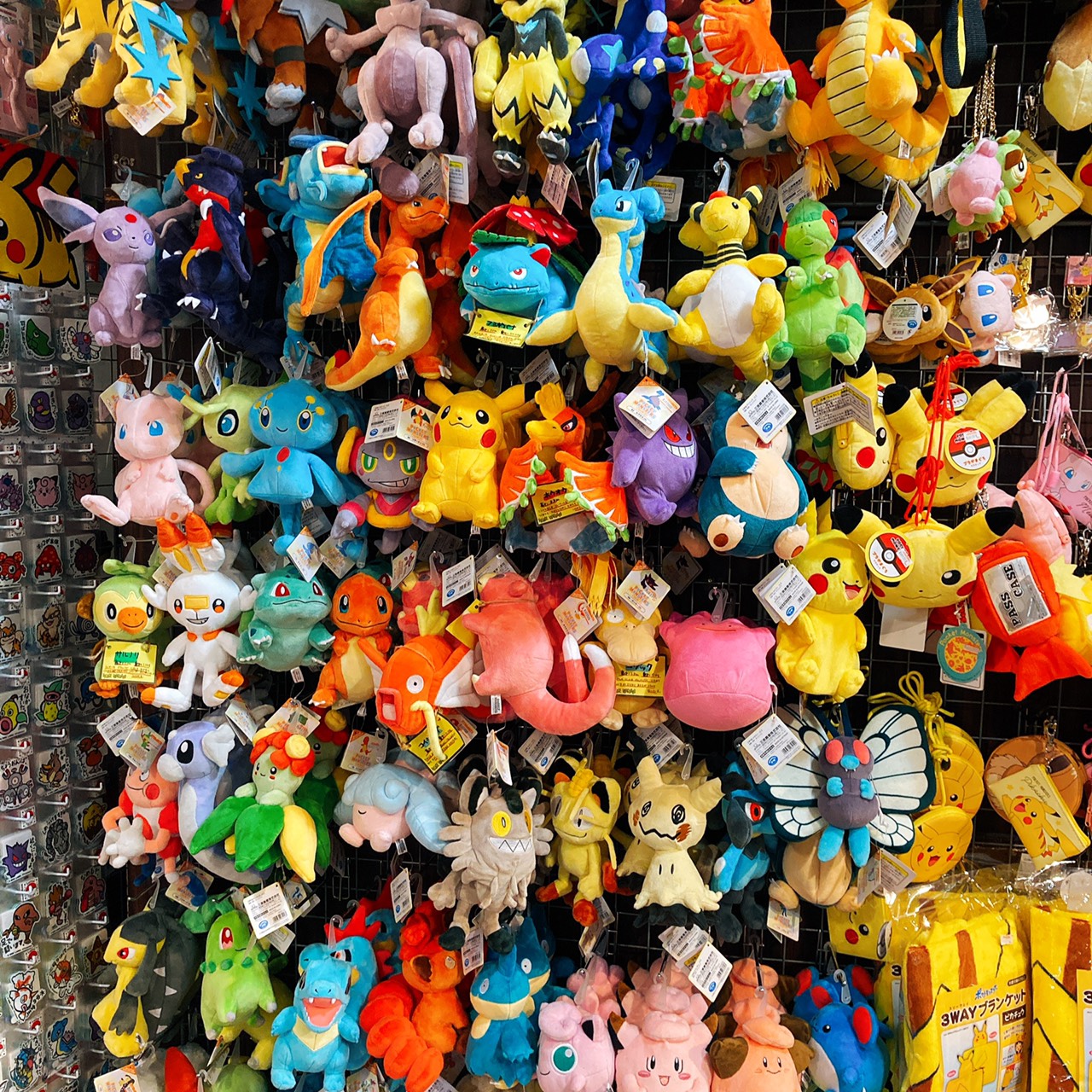 ヴィレッジヴァンガード イーアスつくば ポケモンのぬいぐるみが大量入荷したピカッ ᴥ ピカチュウ 君の推しポケモンを是非ゲットしてくれ ちなみに店長の推しポケモンはデンリュウやで ポケモン ポケモンと生活 ぬいぐるみ