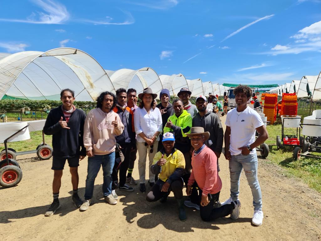 A wonderful morning at <a href="/BurlBerries/">Burlington Berries</a> with Her Excellency Inês Maria de Almeida, Ambassador of Timor-Leste and Samuel Soares, First Secretary. A great opportunity to meet, discuss <a href="/SWP_TL/">SWP Timor-Leste</a> &amp; ensure all workers doing OK with the challenges their facing due to COVID. <a href="/AEofAustralia/">Approved Employers of Australia</a>