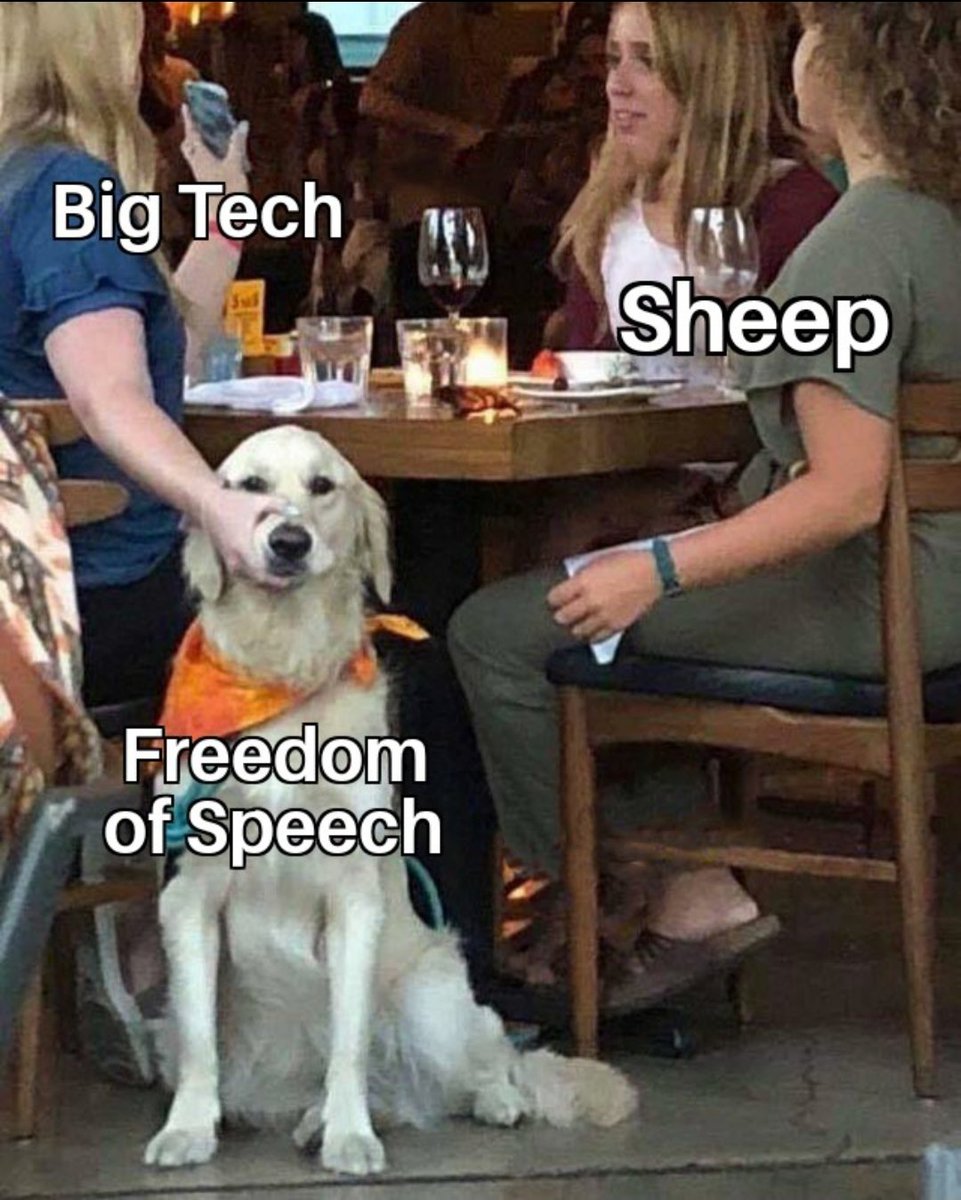 <a href="/catturd2/">Catturd ™</a> Just found you. I will follow as long as I can handle Twitter bs