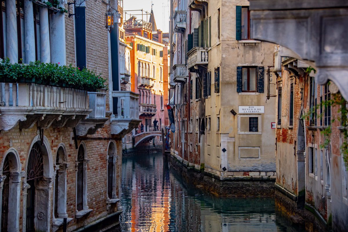 PalmsPerspecti1's tweet photo. The city on water 

.
.
.
.
.
 #icu_architecture  #creative_architecture #campinassp #flashesofdelight #travelog #mytinyatlas #visualmobs #theglobewanderer #forahappymoment #exploringtheglobe #veniceitaly #instavenice #veneziadavivere #venicecanals #unlimitedvenice  #venizia https://t.co/S86mHU1aN2