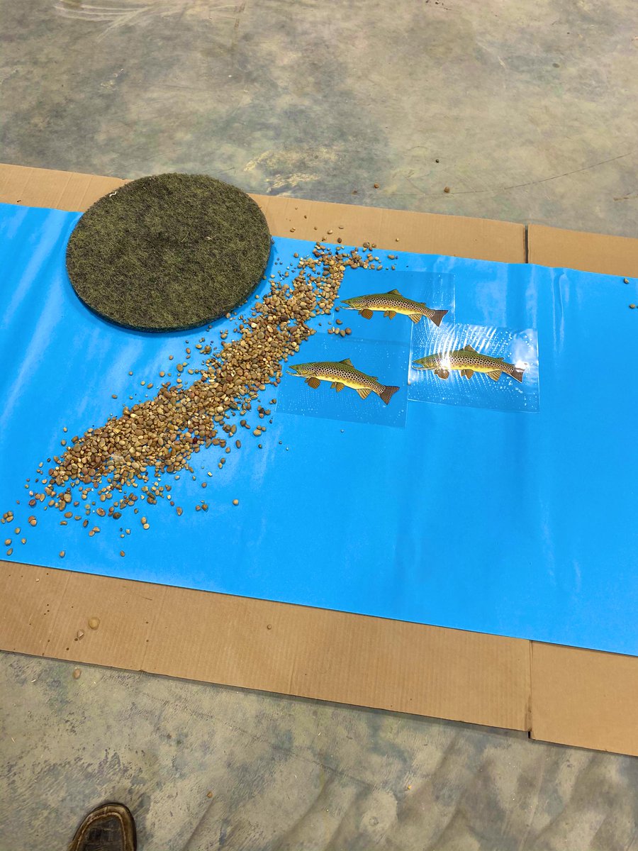 rylynsmall's tweet photo. In Conservation and Wildlife we learned about stream anatomy and structure by discussing where the fish will position themselves in the river. I even wore my trout mask for the occasion. Can’t wait to get these students in the water. #learningbydoing #flylikeanEPeagle #TeachAg https://t.co/hWJLO3uSDn