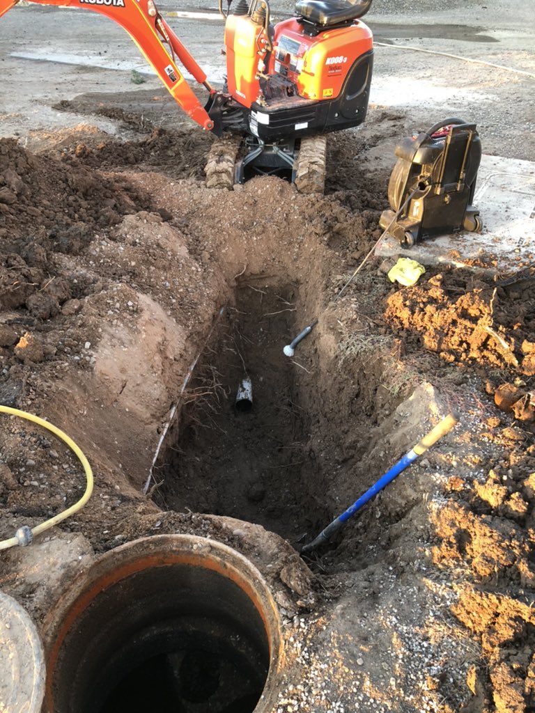 septic1953's tweet photo. Bad sewer line! #Treeroots https://t.co/Kn1Po3cacA