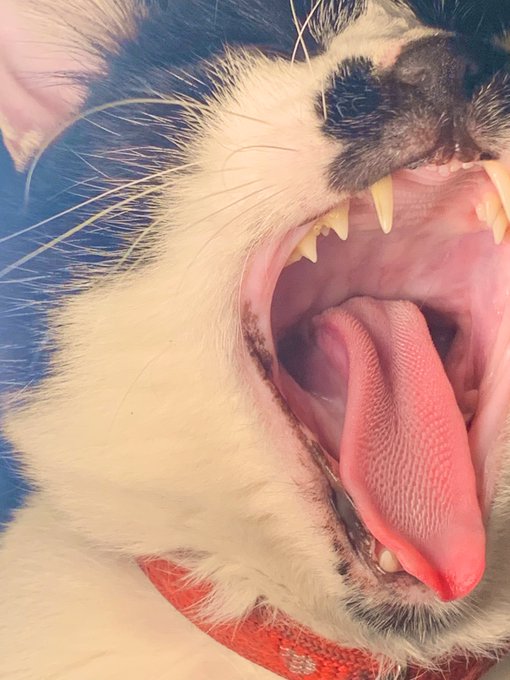 人間どものtwitterイラスト検索結果 古い順