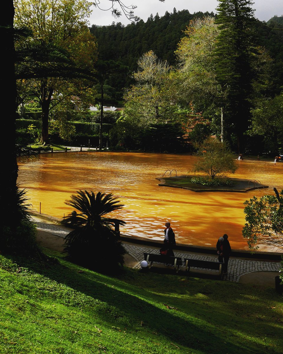 BestOfAzores_ tweet picture