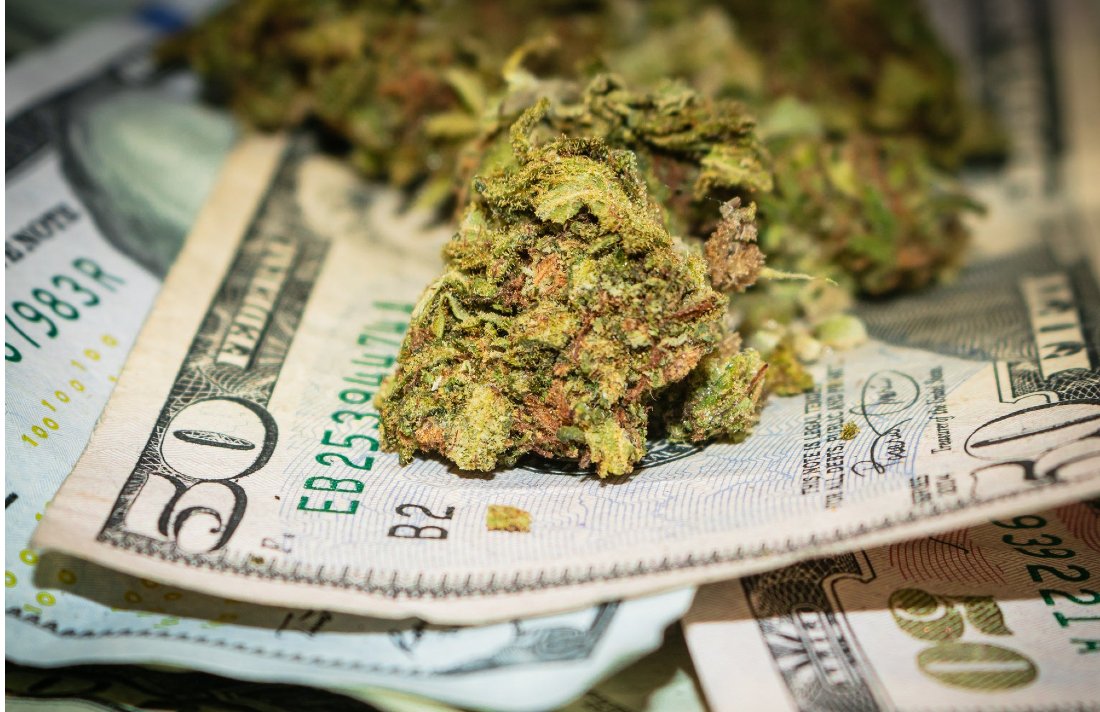CannabisCulture's tweet photo. The Top 8 Cannabis Stocks in 2020 #stocks #trades #business #industry #money https://t.co/H23zEfsphK https://t.co/yPtfoo4Aba