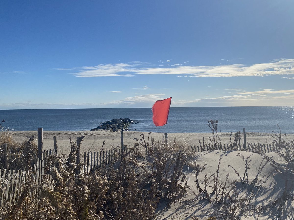 Perfect your skill, Get Organized!

The state of emergency for some people, is a regular state of being for others. Carrying the sediments of American-British coup in Iran history and living in the land fraught with treason, needs a a lot of practice to stay calm and focused.