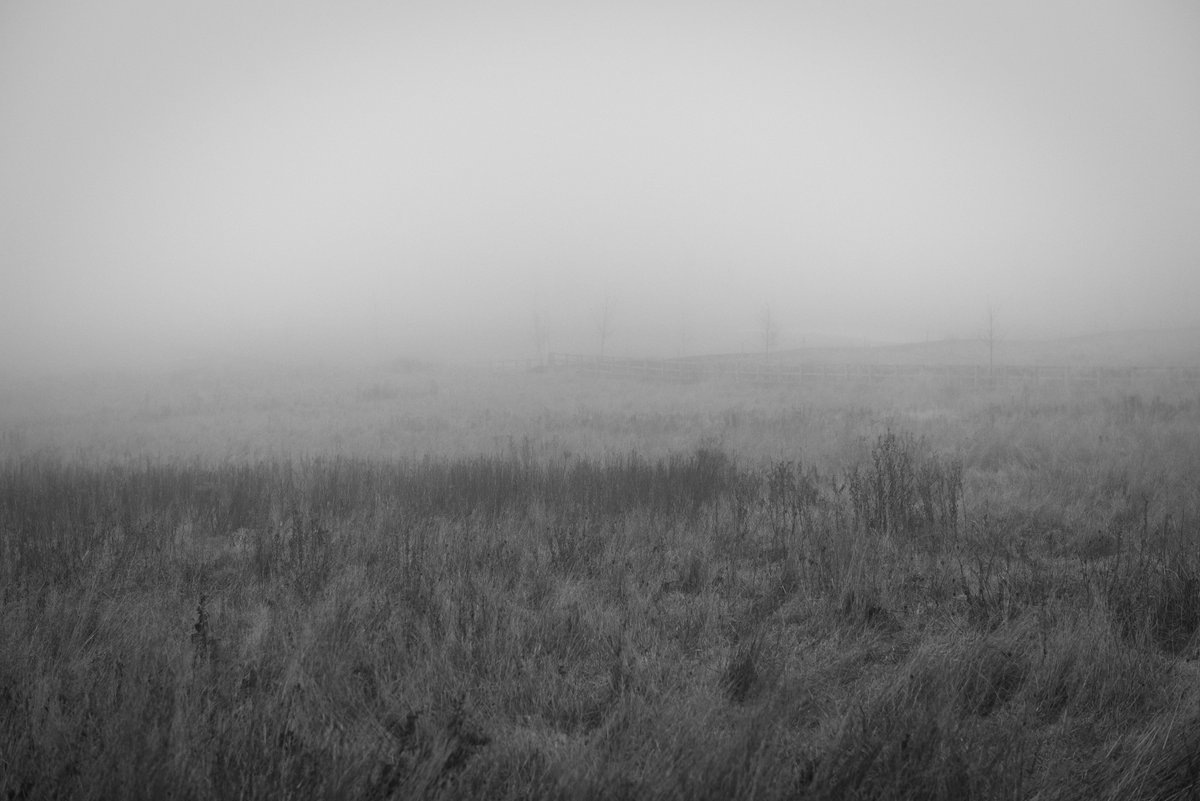 jeremys_81's tweet photo. Lots of Fog in @HoultonRugby today! https://t.co/8J1l44gteD