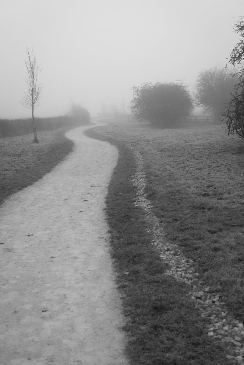 jeremys_81's tweet photo. Lots of Fog in @HoultonRugby today! https://t.co/8J1l44gteD
