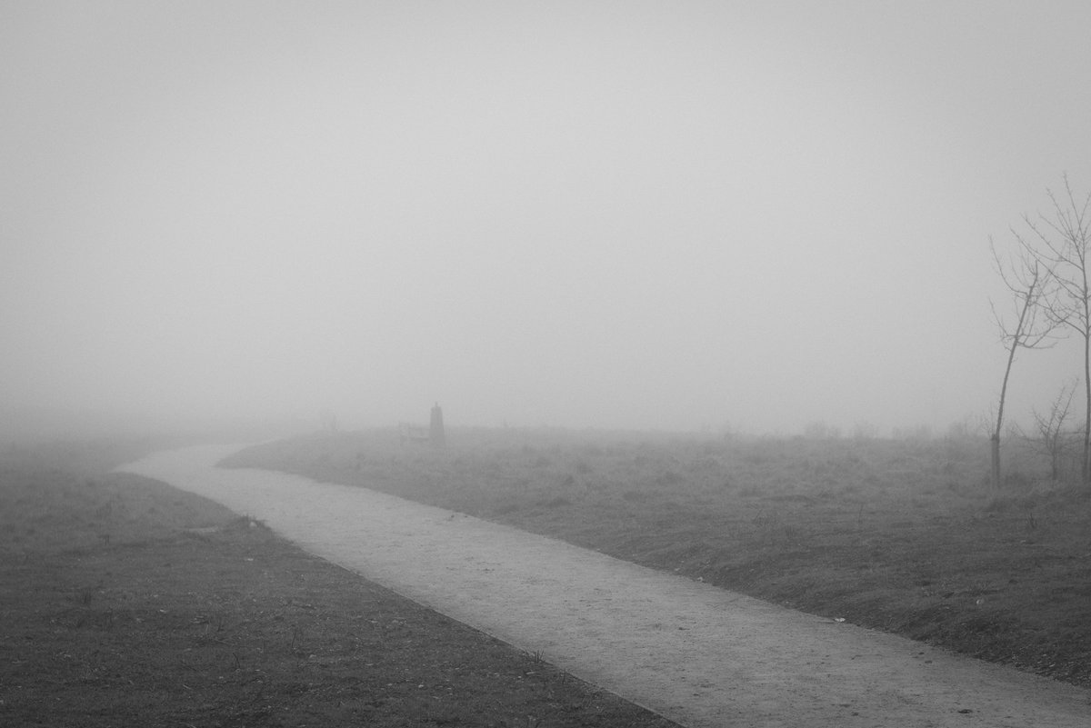 jeremys_81's tweet photo. Lots of Fog in @HoultonRugby today! https://t.co/8J1l44gteD