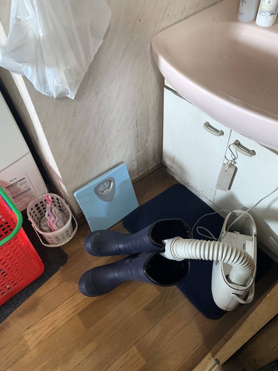 Lt1090Raw's tweet photo. 母「ほらみて！このバランス感覚すごくなーい？笑笑」

とか言って長靴乾かして上機嫌やけど
やっぱり歩かせる気しかないよね？ https://t.co/2sRgt584Fy
