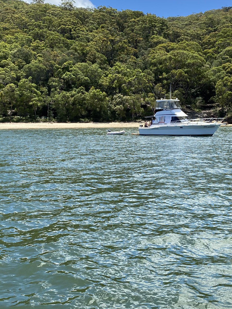 LieletteCalleja's tweet photo. It’s not the #greatbarrierreef where we should be today but grateful to be out on the water cruising & fishing in our own backyard at #BobbinHead https://t.co/MlHXAfAWlJ