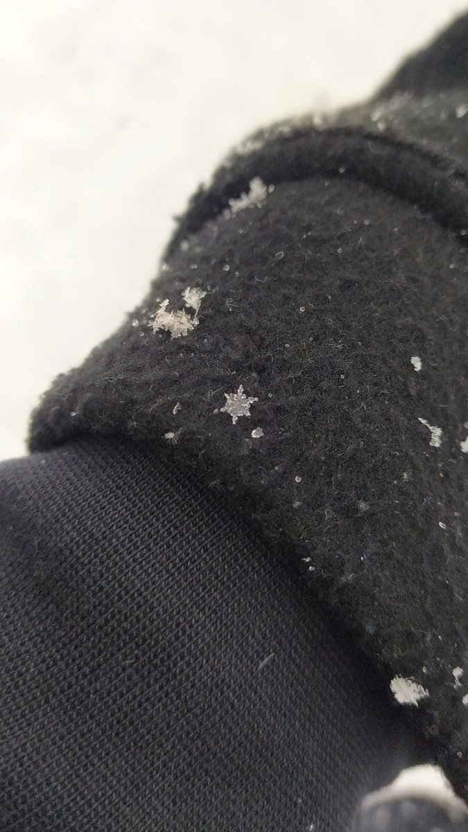 trvefxxl's tweet image. son reales y todos diferentes 🤯