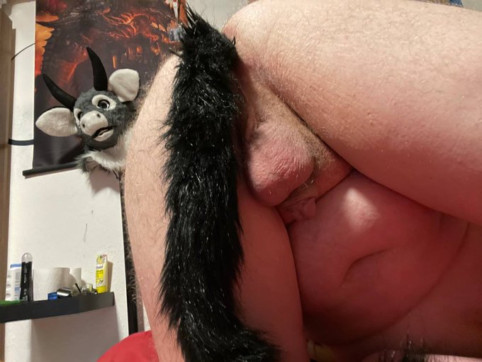 Some Tail fun 💕💕🐾 https://t.co/9JSo6LWYLs<a href="/tag/bondage"class="tags"><span>#bondage</span></a><a href="/tag/murrsuitmonday"class="tags"><span>#murrsuitmonday</span></a><a href="/tag/murrsuit"class="tags"><span>#murrsuit</span></a>