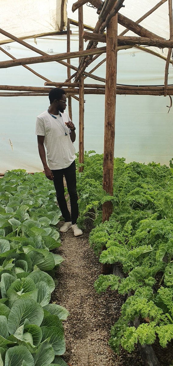 Soilless Farm Lab tweet media