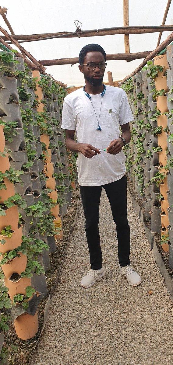 Soilless Farm Lab tweet media