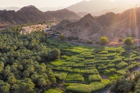 هذي عمان وإنها ما نعشق
                 هي نهر حب دائما يتدفق
هي لوحة رسمت بريشة ملهم
                        بفعاله أقواله تتحقق

صباح النور لوطن نلبي نداءه أن حيي على العمل،نرفع سارية العلم وهو عالي المقام
صباحنا صف واحد لوطن هو كيان عبر التاريخ

نرحب بكم جميعا في #صباح_الشباب