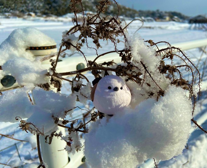 雪の妖精のtwitterイラスト検索結果 雪の妖精のtwitterイラスト検索結果