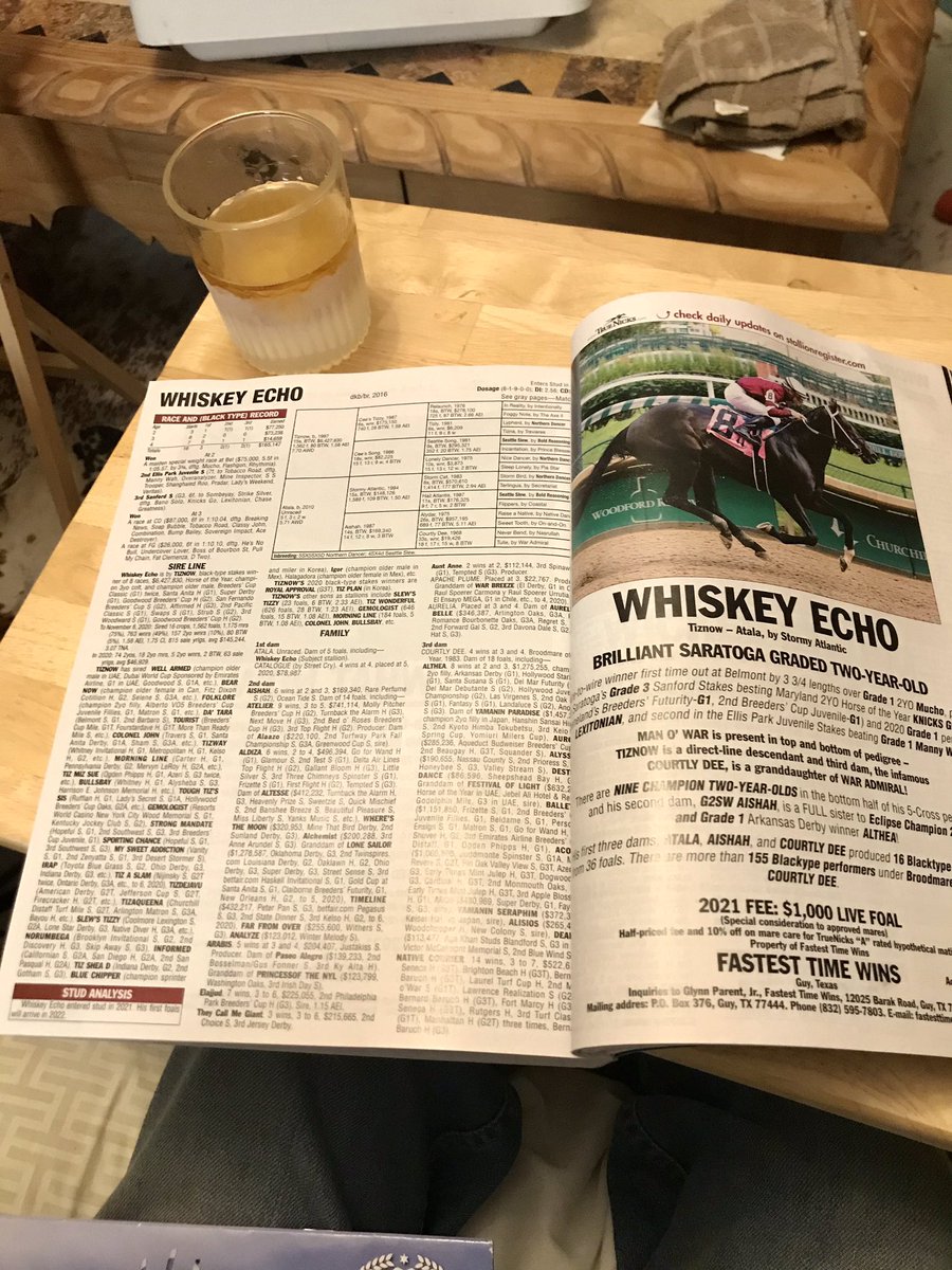 FastestTimeWins's tweet photo. @BloodHorse gives us Something to Sip On @WhiskeyEchoTB standing @FastestTimeWins  only Tiznow son standing in Texas and out of the Atala that goes to the infamous Broodmare of the Year Courtly Dee. @TrueNicks your mare with Whiskey. 2 year old performance that Fits Texas https://t.co/CtGroVtGSZ