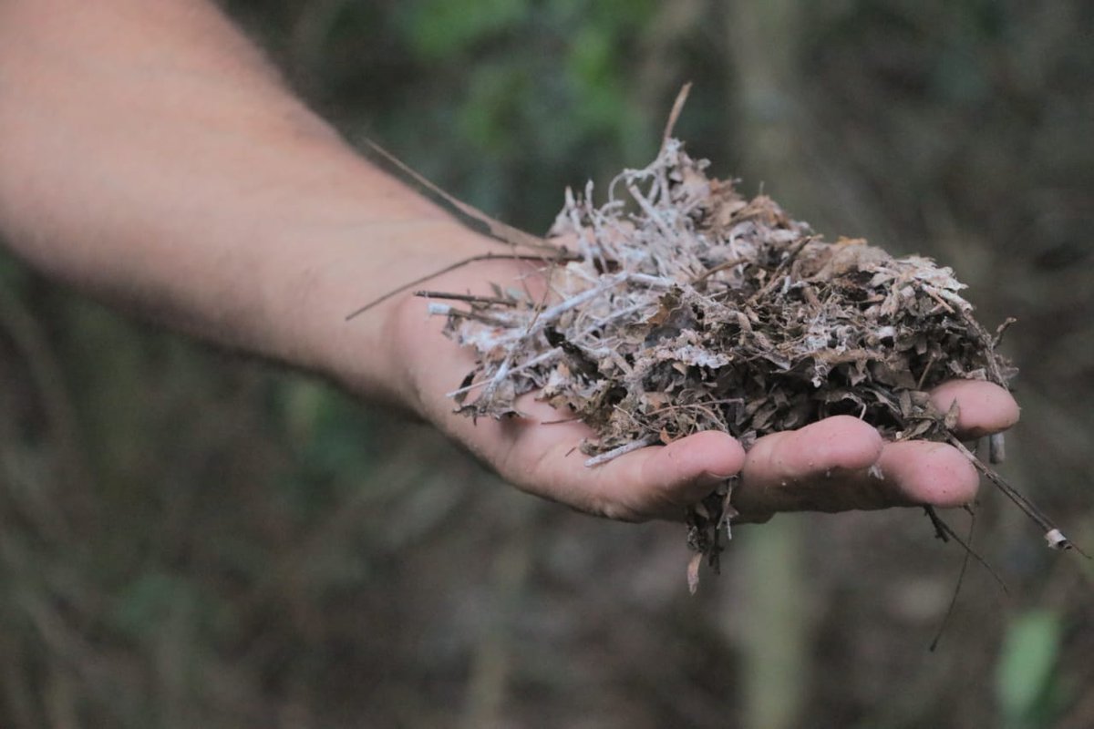 Desde <a href="/FundaHuoqo/">Fundación Huoqo</a>   aconpañamos la entrega de declaración de interés municipal a la granja educativa "La tierra Sin mal" promocionamos los #ODS cómo base del proyecto de producción sustentable de alimentos  #Ambiente #PuertoTirol #Chaco #SoberaniaAlimentaria #Décadadeacción